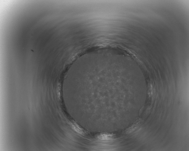 X0000066010664200603101558