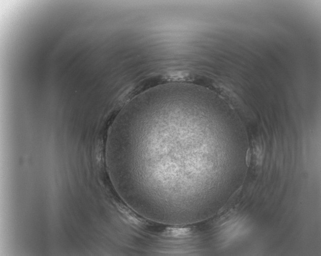 X0000066010665200603101558