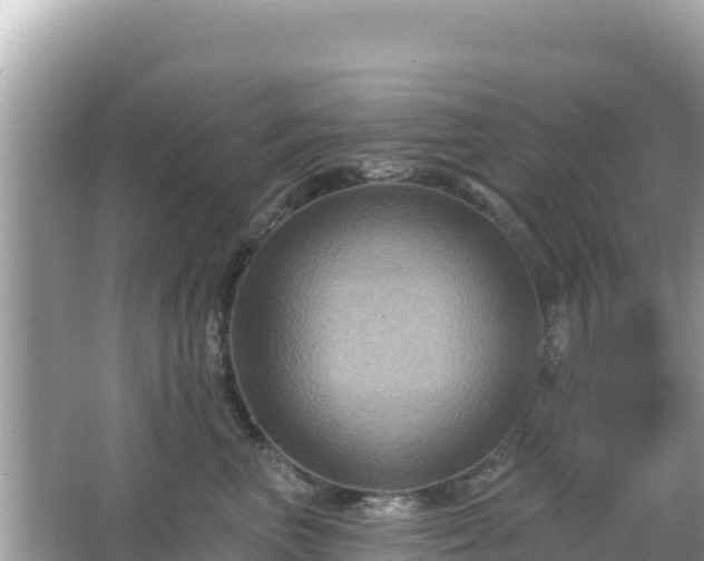 X0000066010667200603101558