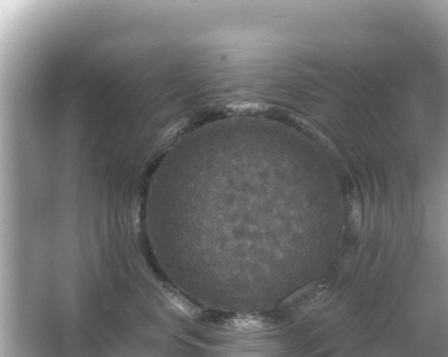 X0000066010668200603101558