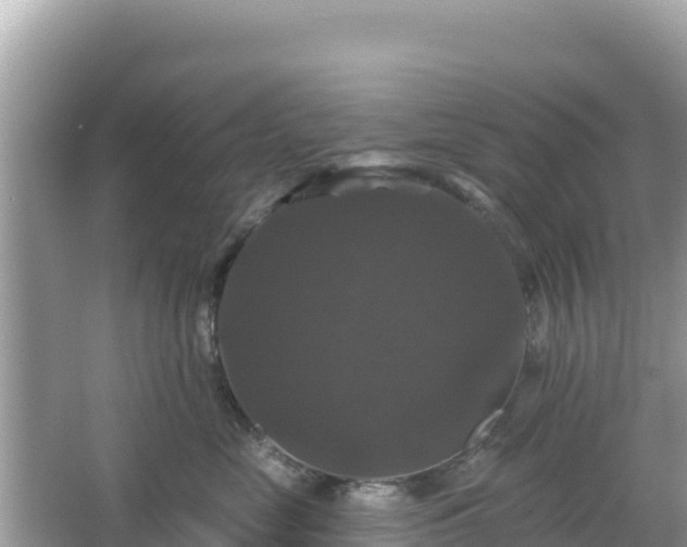 X0000066010669200603101558