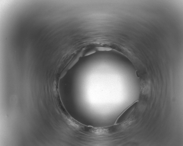 X0000066010670200603101558