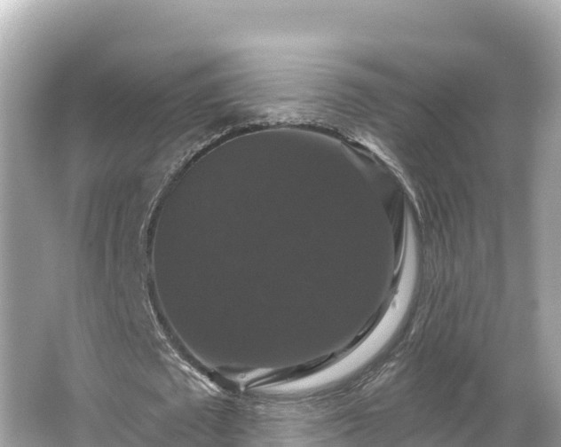 X0000066010673200603101557