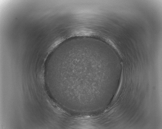 X0000066010675200603101557