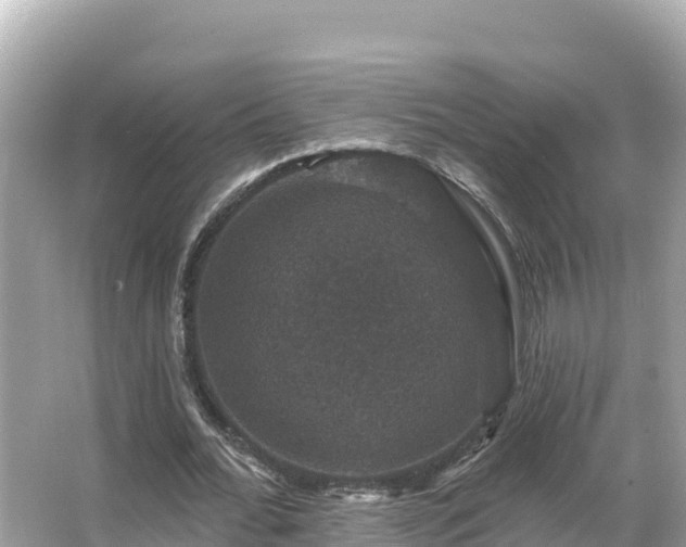 X0000066010676200603101557