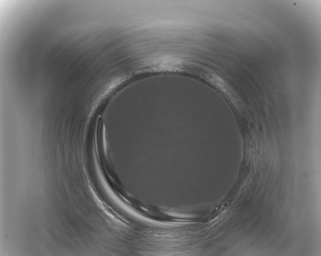 X0000066010677200603101557