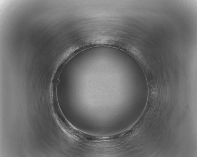 X0000066010678200603101557