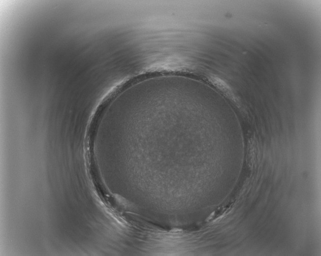 X0000066010680200603101557