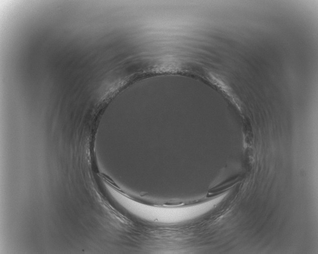 X0000066010681200603101557