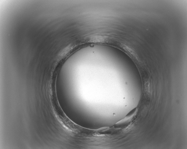 X0000066010682200603101557