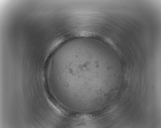 X0000066010683200603101557