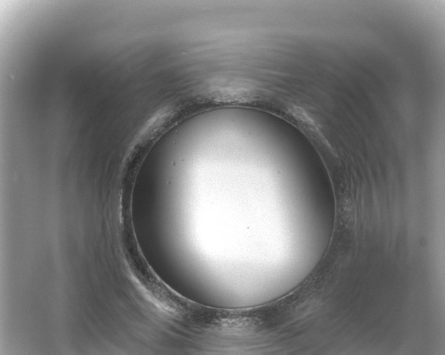 X0000066010686200603101557