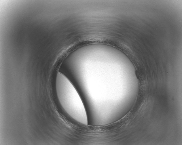 X0000066010688200603101557