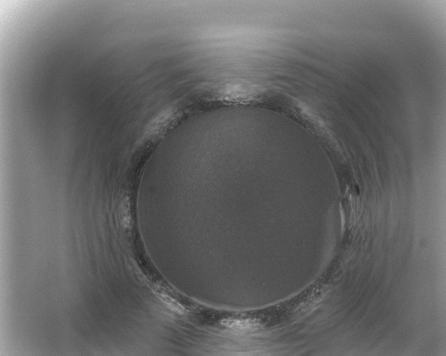 X0000066010689200603101557