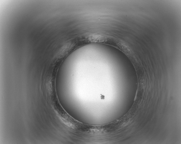 X0000066010690200603101557