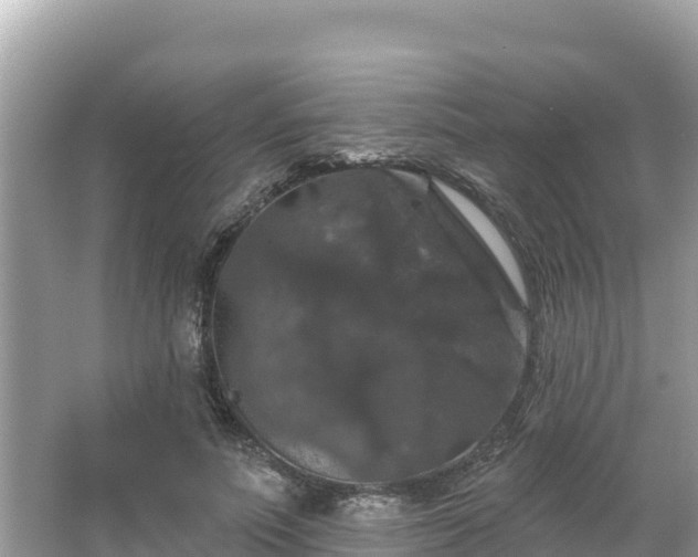 X0000066010691200603101557