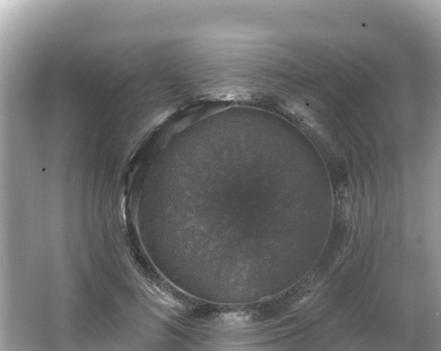 X0000066010692200603101557