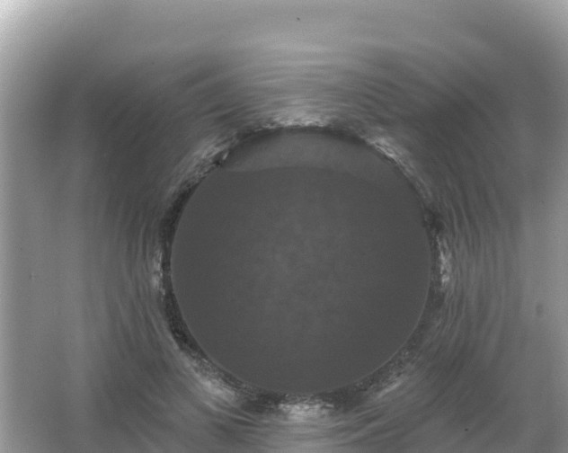 X0000066010693200603101557