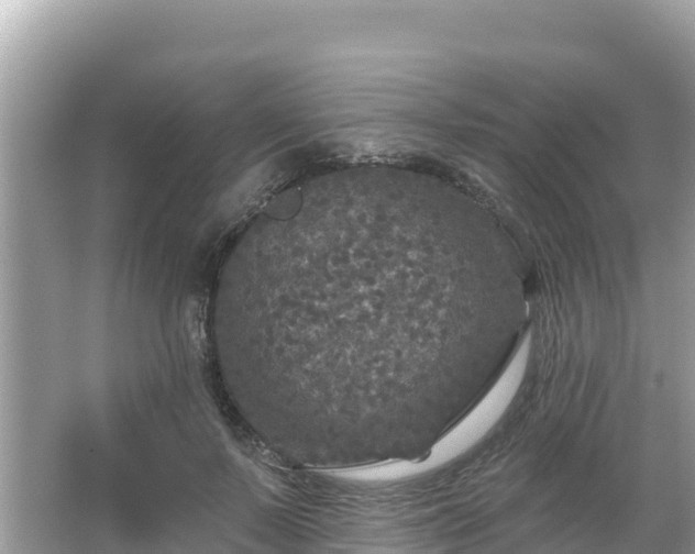 X0000066010695200603101557