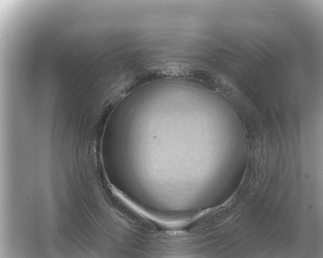 X0000066010696200603101557