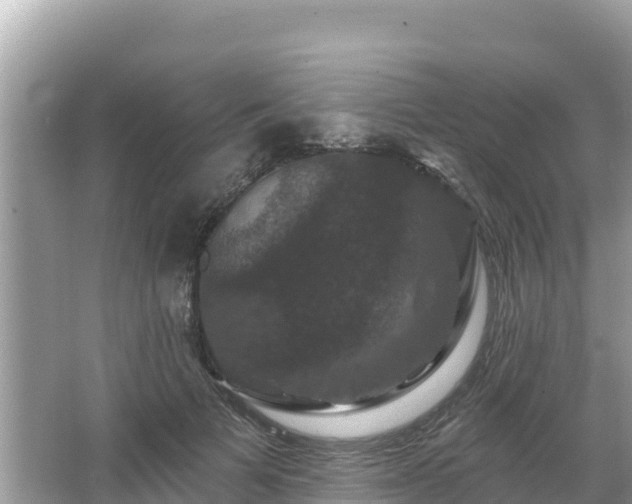 X0000066010697200603101557