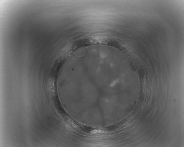 X0000066010699200603101557