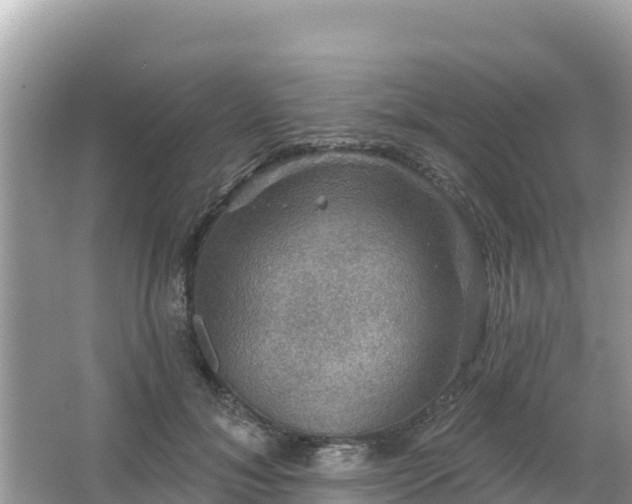 X0000066010700200603101557