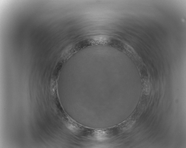 X0000066010701200603101557