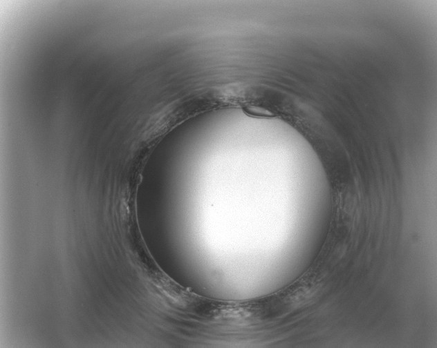 X0000066010702200603101557