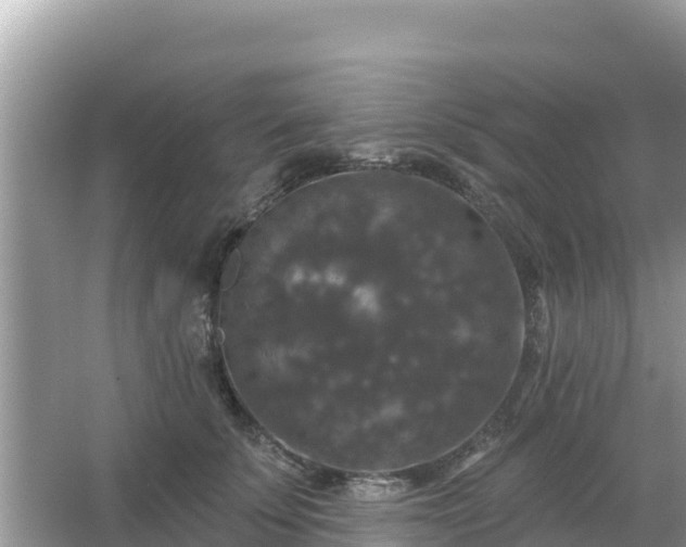 X0000066010707200603101557