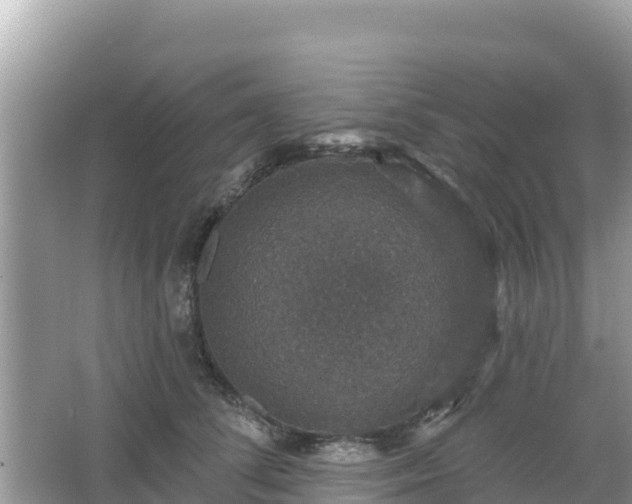 X0000066010708200603101557