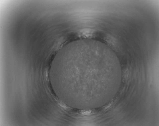 X0000066010709200603101557