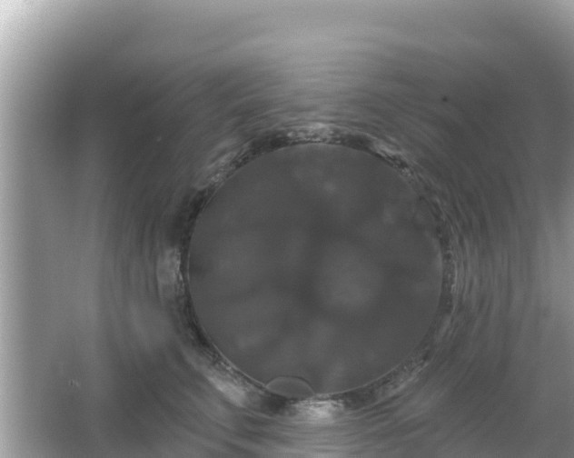 X0000066010711200603101557