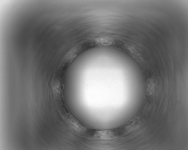 X0000066010713200603101557