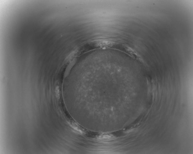 X0000066010716200603101557