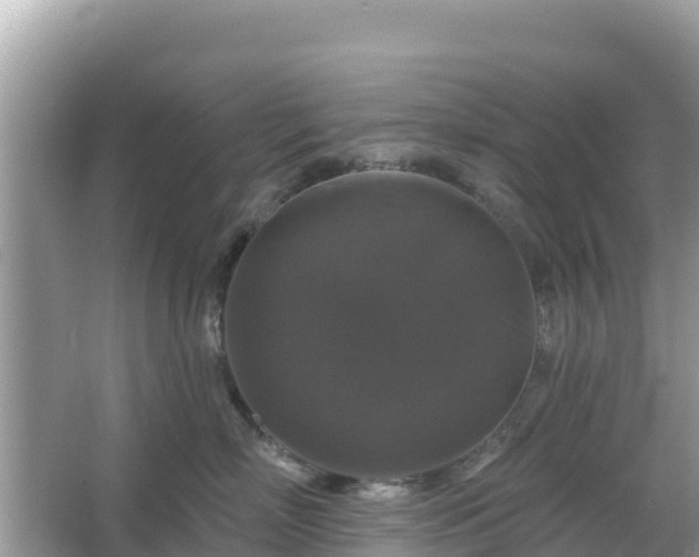 X0000066010718200603101556