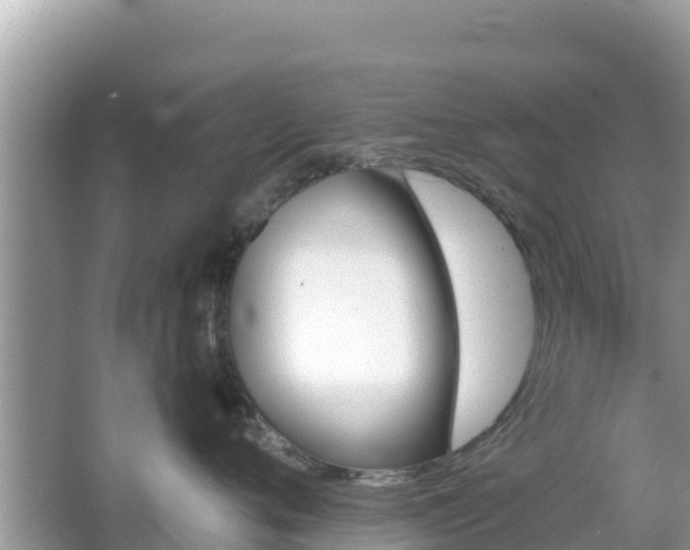 X0000066010720200603101556