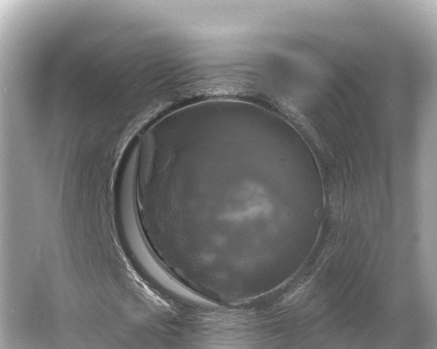 X0000066010721200603101556