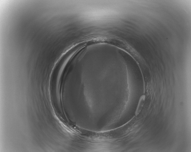 X0000066010722200603101556