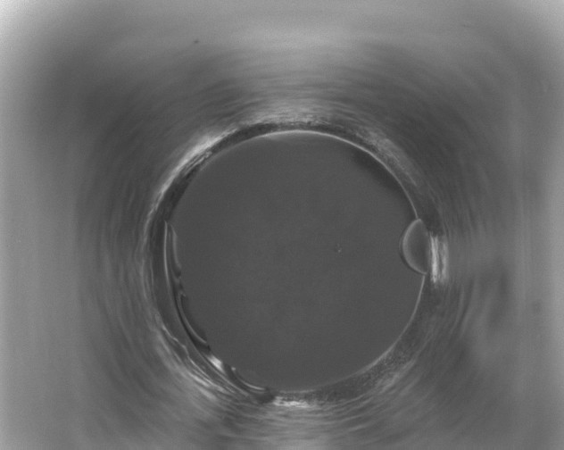 X0000066010723200603101556