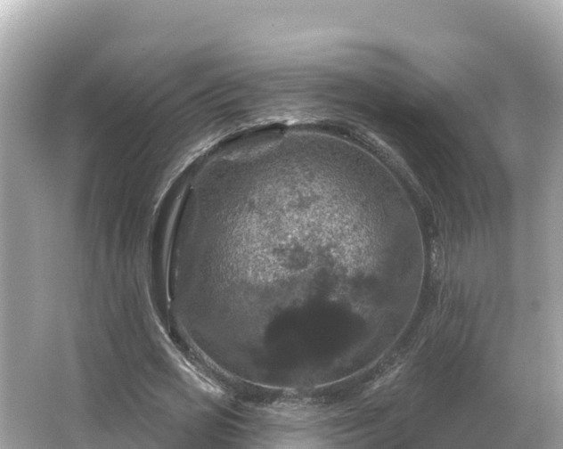 X0000066010725200603101556