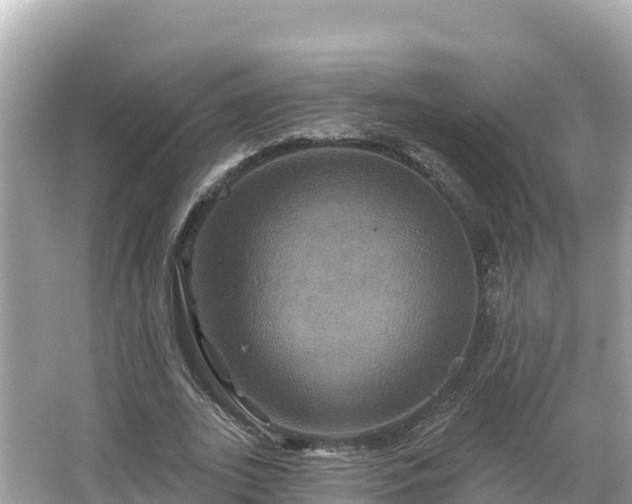 X0000066010727200603101556