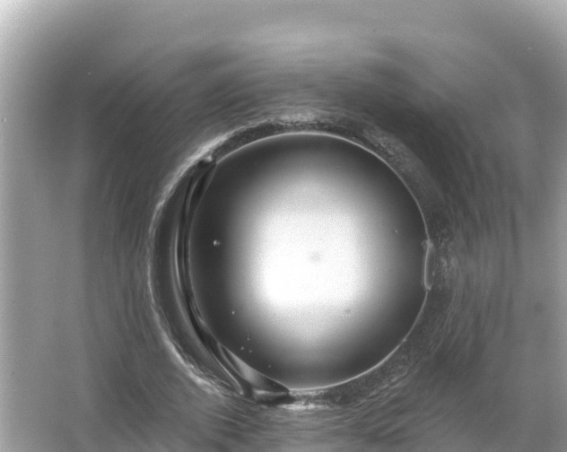 X0000066010728200603101556