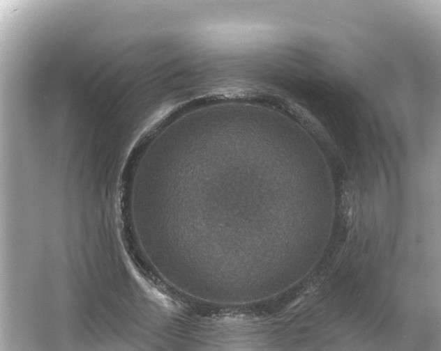 X0000066010730200603101556