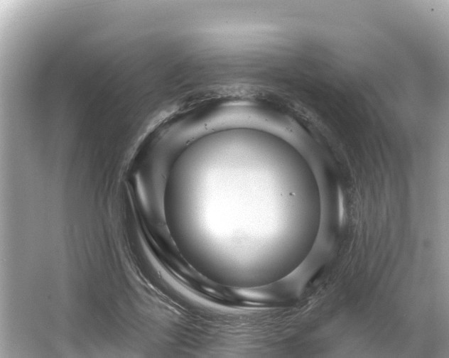 X0000066010731200603101556