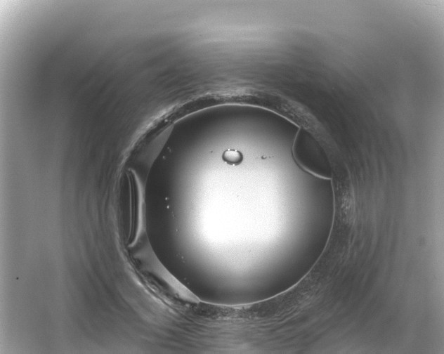 X0000066010732200603101556