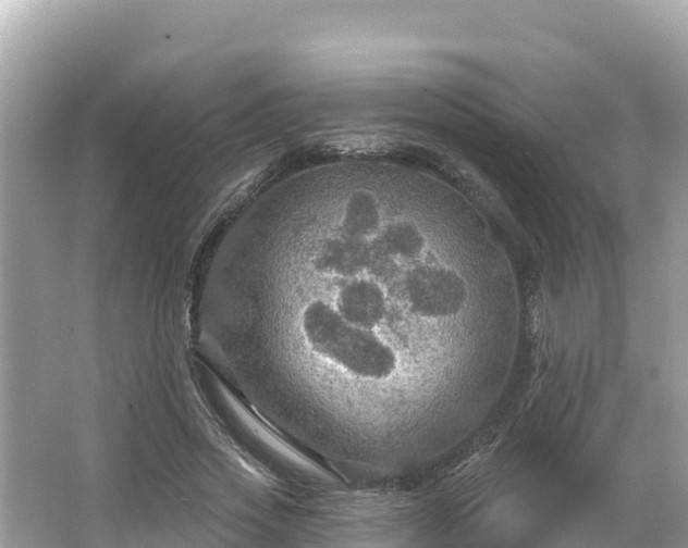 X0000066010733200603101556