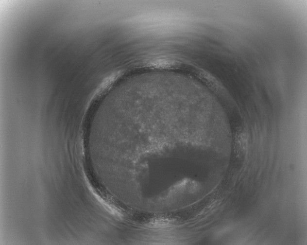 X0000066010734200603101556