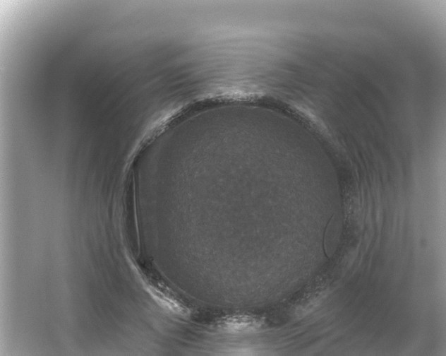 X0000066010736200603101556