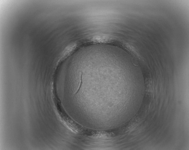 X0000066010738200603101556